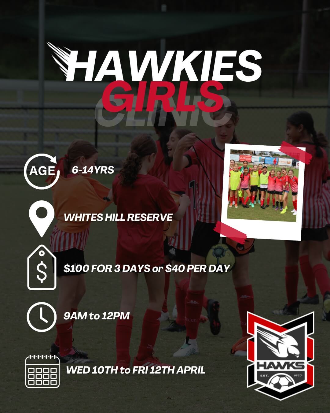 Holland Park Hawks Girls Clinics